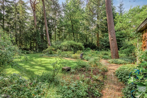 Medium property photo - Wolfhezerweg 120-76, 6874 AW Wolfheze